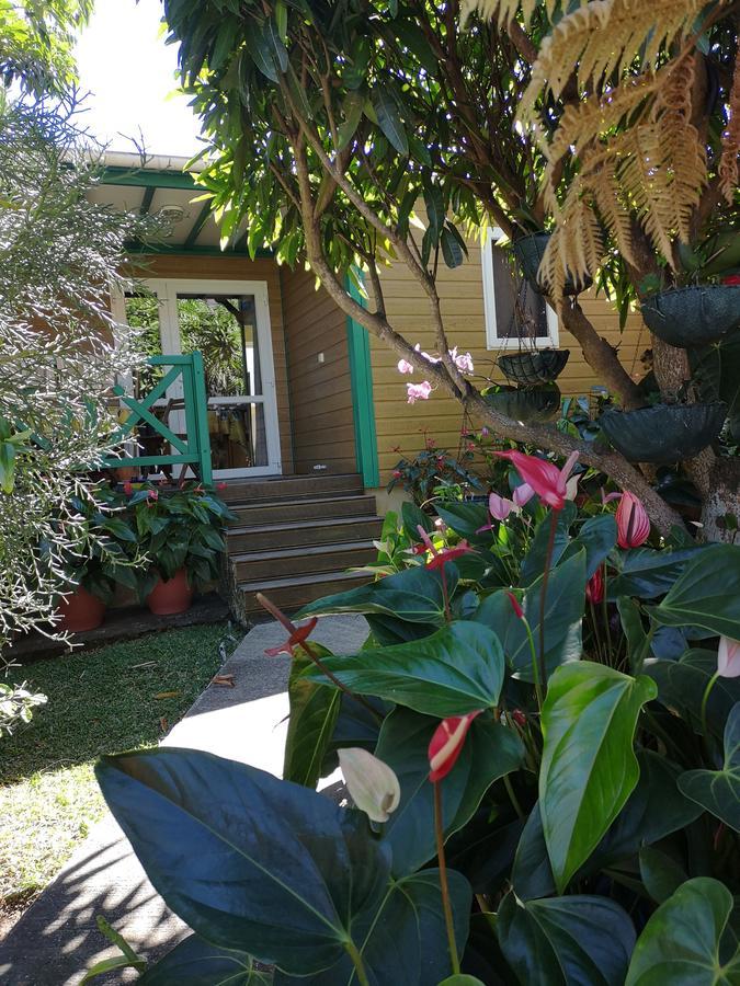 Les Agapanthes Villa Le Tampon Eksteriør bilde